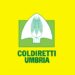 Coldiretti Umbria: “La fauna selvatica continua a provocare danni pesantissimi”