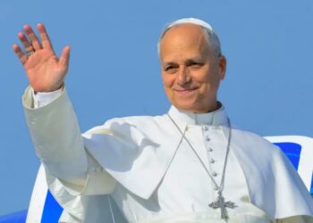 Il Papa risponde alla lettera della LIPU: ecco cosa ha scritto