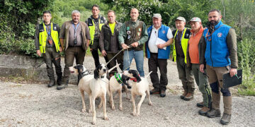 In Piemonte la finalissima del 1° Campionato Europeo per cani da seguita su cinghiale in Poker