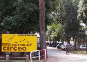 Troppi cinghiali nel Circeo: regione, enti parco e comuni uniti per il piano d’intervento
