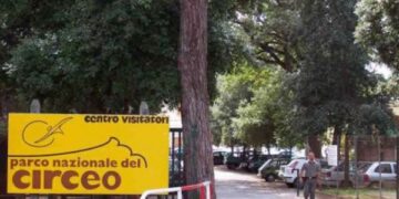 Troppi cinghiali nel Circeo: regione, enti parco e comuni uniti per il piano d’intervento