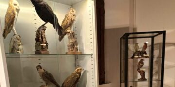 A Serrapetrona (Macerata) è stata inaugurata la “Mostra ornitologica e delle arti venatorie”