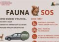 La Provincia di Bolzano si affida ai cacciatori per la campagna in favore dei selvatici feriti e abbandonati