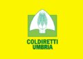 Coldiretti Umbria: “Ddl Caccia fondamentale per fermare devastazioni dei cinghiali e proteggere i cittadini”