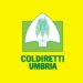 Coldiretti Umbria: “Ddl Caccia fondamentale per fermare devastazioni dei cinghiali e proteggere i cittadini”