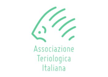 L’Associazione Teriologica Italiana interviene (negativamente) sulla riforma della caccia