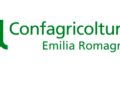 Confagricoltura Emilia Romagna chiede di accelerare gli abbattimenti dei cinghiali