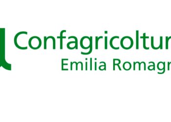 Confagricoltura Emilia Romagna chiede di accelerare gli abbattimenti dei cinghiali