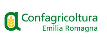 Confagricoltura Emilia Romagna chiede di accelerare gli abbattimenti dei cinghiali