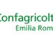 Организация Confagricoltura Emilia Romagna призывает ускорить отстрел диких кабанов.