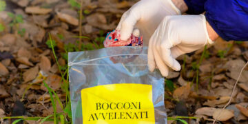 Bocconi avvelenati: l’Emilia Romagna addestra cani anti-esca per formare unità specializzate