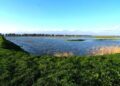 Oasi Lago Salso, Arci Caccia chiede un confronto che si basi sui documenti e non sull’ideologia