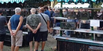La Sagra degli Uccelli di Almenno San Salvatore si conferma un appuntamento seguitissimo