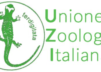 Ddl Caccia, botta e risposta tra FIDC e Unione Zoologica Italiana