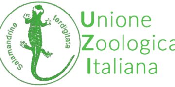 Ddl Caccia, botta e risposta tra FIDC e Unione Zoologica Italiana