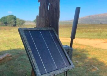ICU Solar Cell, il pannello solare per fototrappole che prolunga la durata delle batterie