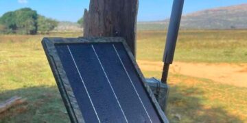 ICU Solar Cell, il pannello solare per fototrappole che prolunga la durata delle batterie