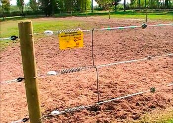 Trentino e grandi carnivori: più semplice l’uso delle recinzioni elettrificate
