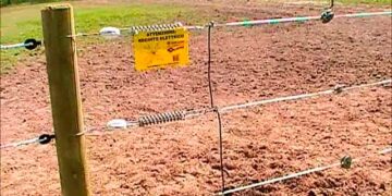 Trentino e grandi carnivori: più semplice l’uso delle recinzioni elettrificate