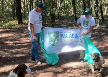 Paladini del territorio in azione nella Pineta di Cecina, raccolti i rifiuti abbandonati in estate