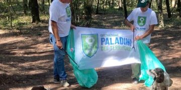 Paladini del territorio in azione nella Pineta di Cecina, raccolti i rifiuti abbandonati in estate