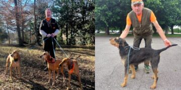 Nel Mantovano una prova di lavoro per cani da seguita su lepre