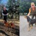 Nel Mantovano una prova di lavoro per cani da seguita su lepre