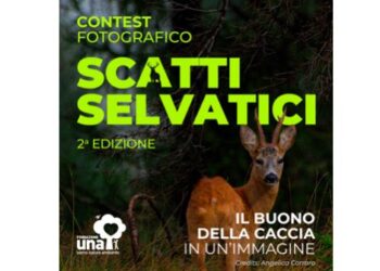 “Scatti Selvatici, il buono della caccia in un’immagine”: al via la seconda edizione