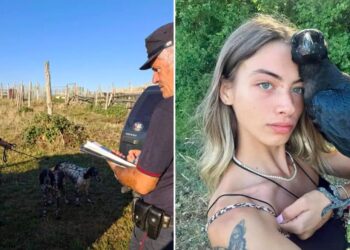 Corvo imperiale abbattuto nel Maceratese, FIDC: “Non si criminalizzi intera categoria”