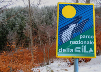I chiarimenti della Regione Calabria sull’apertura della caccia nelle ZSC e ZPS