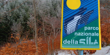 I chiarimenti della Regione Calabria sull’apertura della caccia nelle ZSC e ZPS