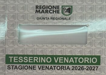 Caccia nelle Marche: già 13.231 tesserini ritirati per la stagione 2026-2027