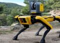 Cani robot per contrastare i lupi? Il Veneto ci sta pensando seriamente