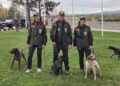 Mondiali di Cinofilia 2026: al via l’avventura azzurra in Serbia