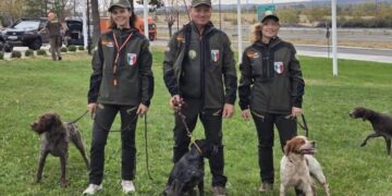 Mondiali di Cinofilia 2026: al via l’avventura azzurra in Serbia