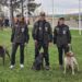 Mondiali di Cinofilia 2026: al via l’avventura azzurra in Serbia
