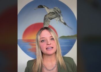 Piombo, Giulia Sottoriva: “Si rischia la decimazione dei cacciatori italiani ed europei”