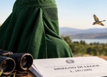 Il “burqa verde”: quando il cacciatore diventa il capro espiatorio