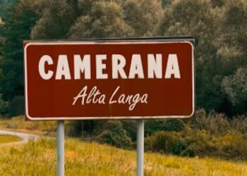 Primo caso di positività alla peste suina a Camerana (Cuneo)