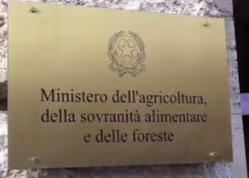 Le Regioni designano i tre esperti del Comitato tecnico faunistico-venatorio nazionale