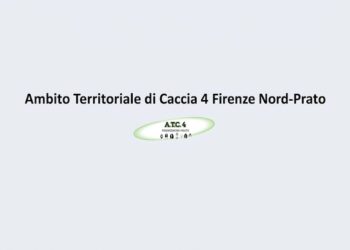 ATC Firenze 4, la telenovela è giunta alla fine?