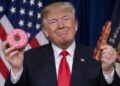 I cacciatori americani potranno usare ciambelle e pancetta come esche per gli orsi