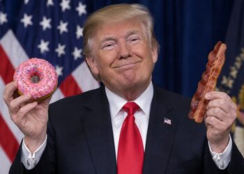 I cacciatori americani potranno usare ciambelle e pancetta come esche per gli orsi
