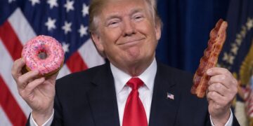 I cacciatori americani potranno usare ciambelle e pancetta come esche per gli orsi