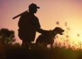Dimentica il fucile per soccorrere il suo cane: revocata la licenza di caccia