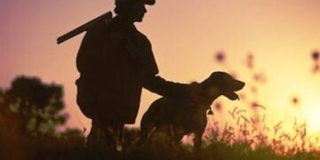 Dimentica il fucile per soccorrere il suo cane: revocata la licenza di caccia
